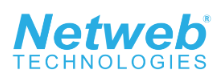 Netweb Tech India Limited